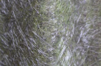 Woodcot fibreglass roof work