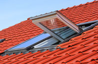 Woodcot roof window